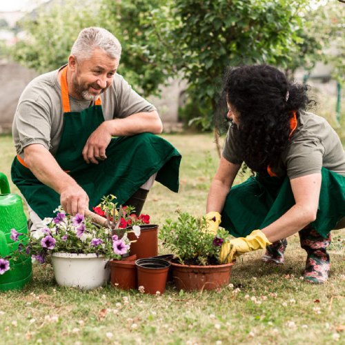 couple-caring-flowers