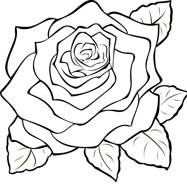 logo logo