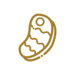 icon1-1