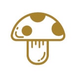 icon4-1