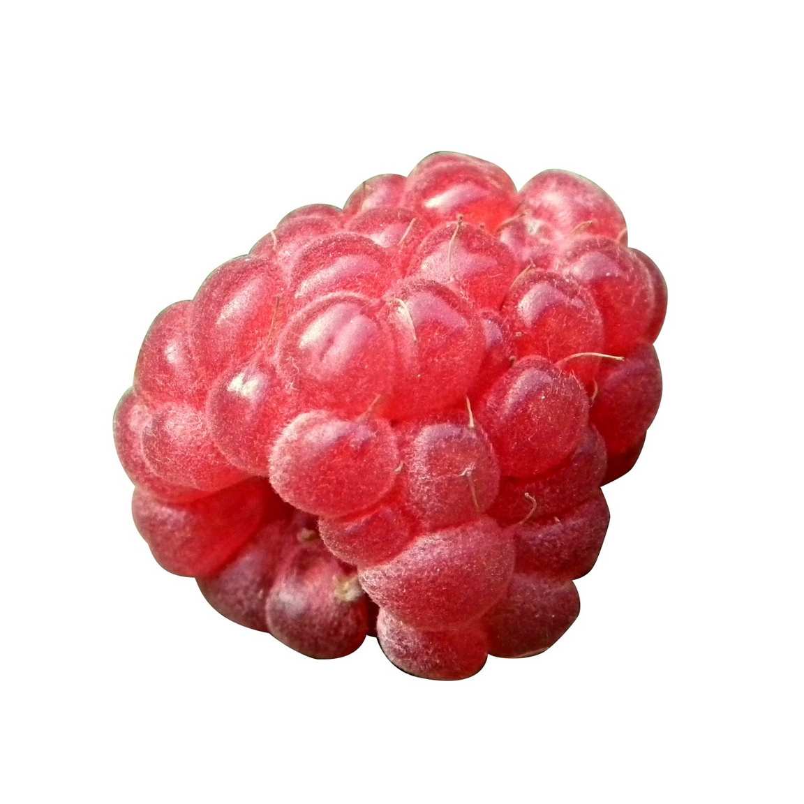 f02 f02