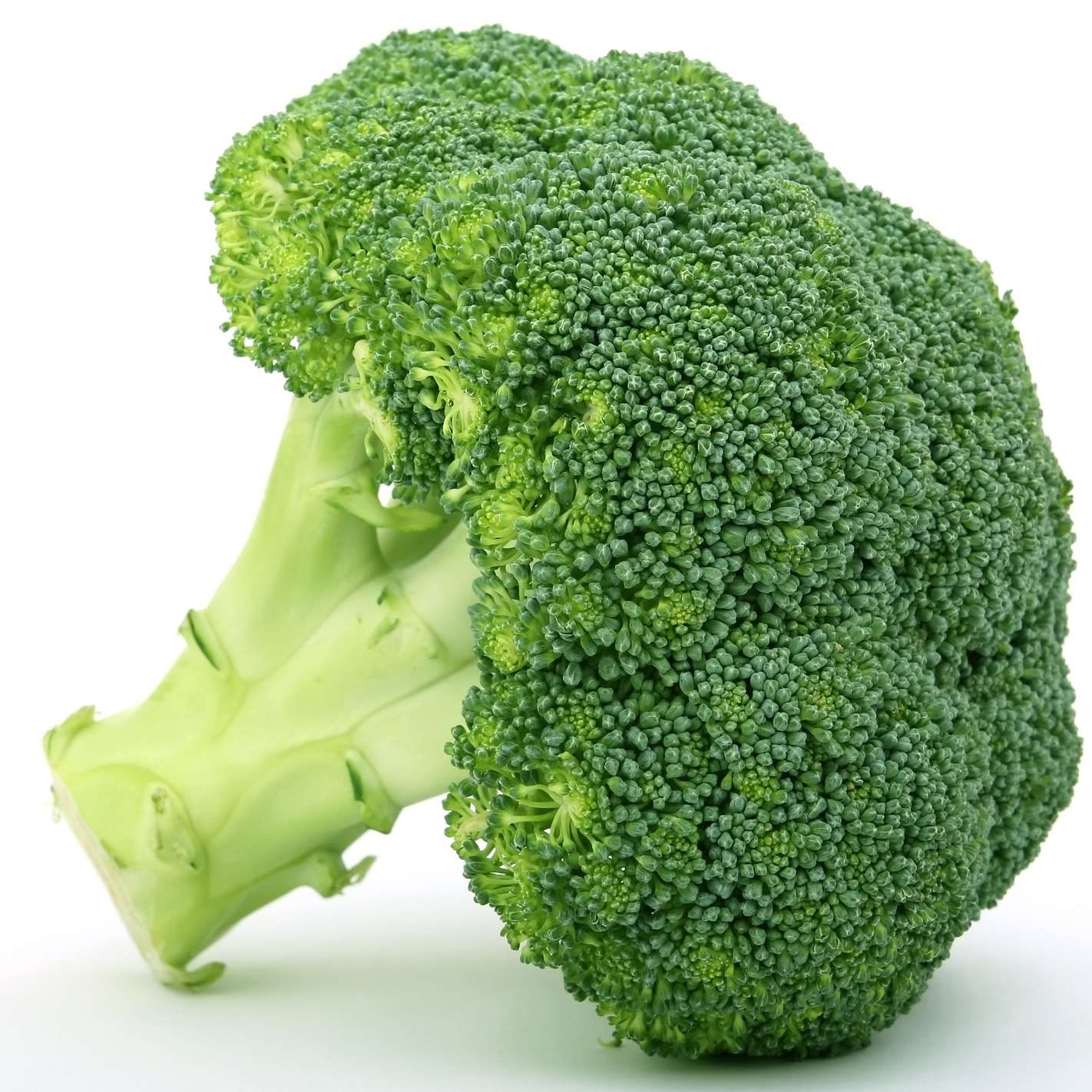 g01 g01