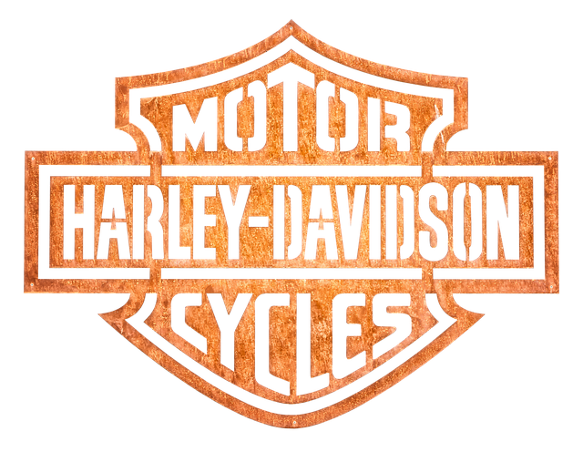 logo3 logo3