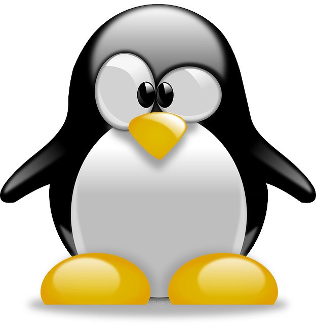 logo5 logo5