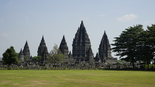 image1 image1
