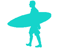 surf1-1