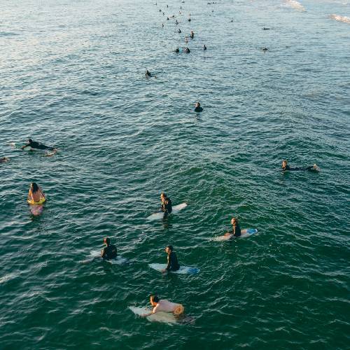 surfing2 surfing2