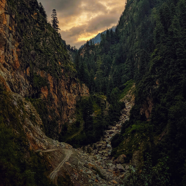 image6 image6