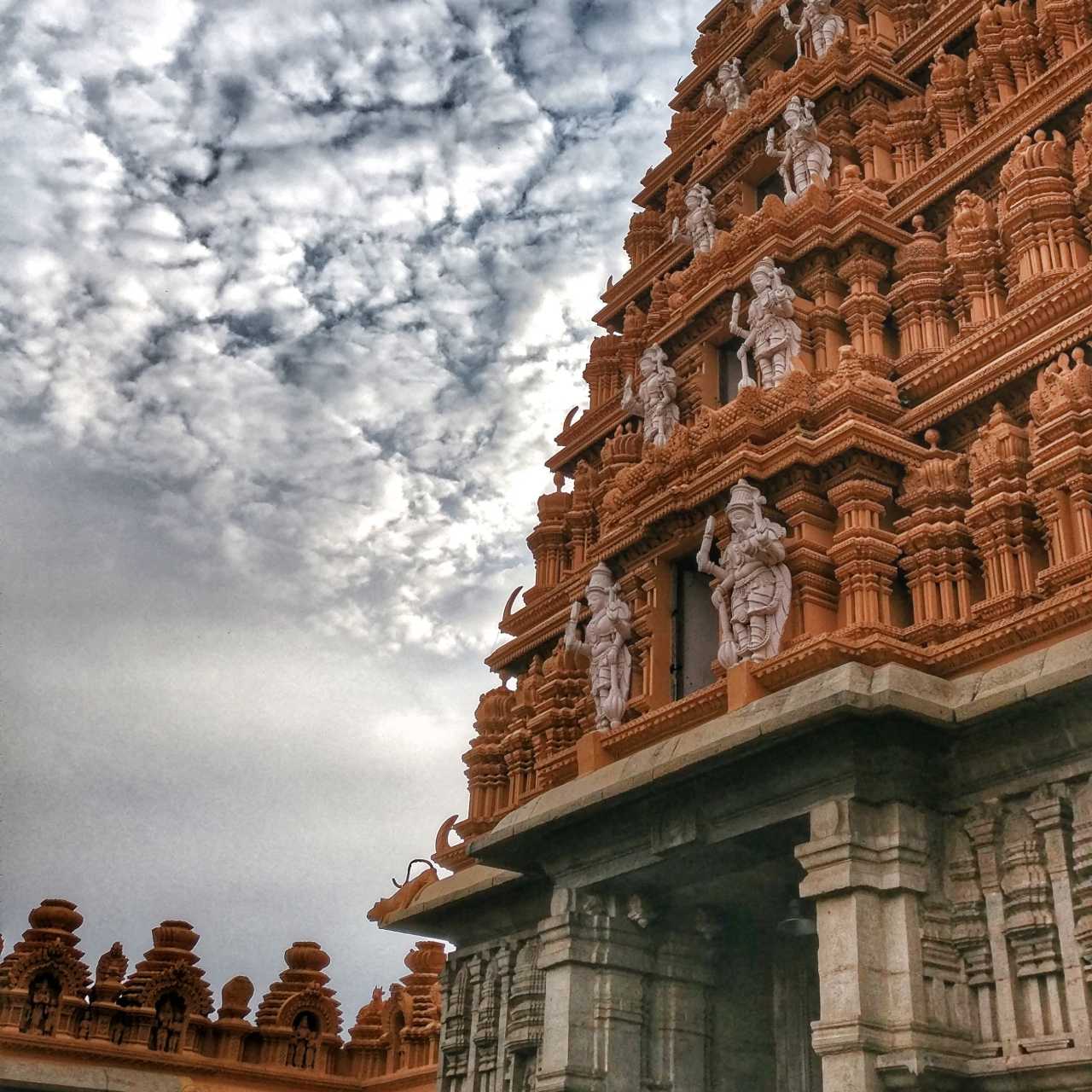 taj1 taj1